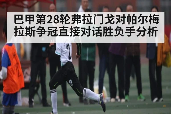 巴甲第28轮弗拉门戈对帕尔梅拉斯争冠直接对话胜负手分析
